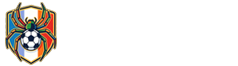 蜘蛛直播
